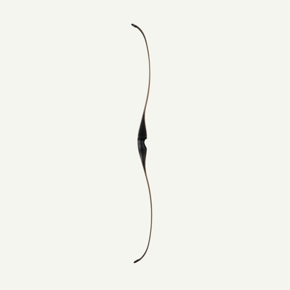 Bodnik Slick Stick Black Longbow