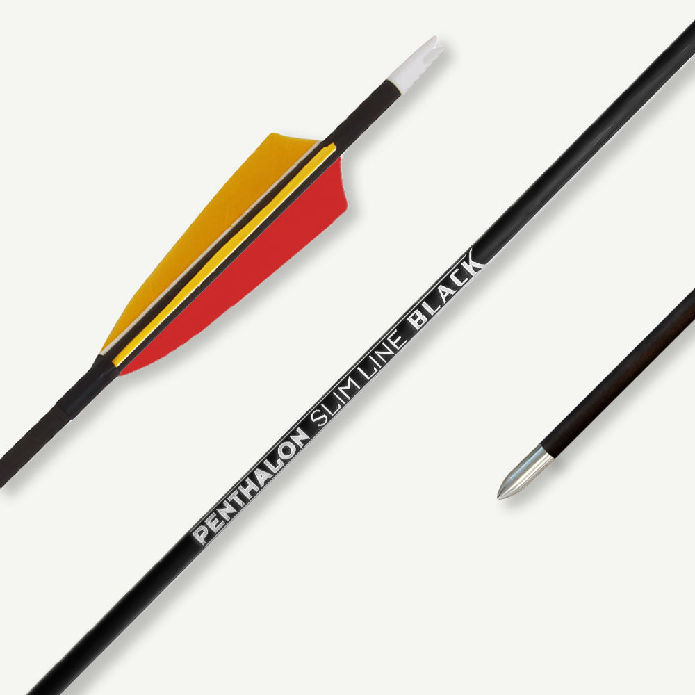 Penthalon Carbon Arrows Slim Line Black Natural Feathers