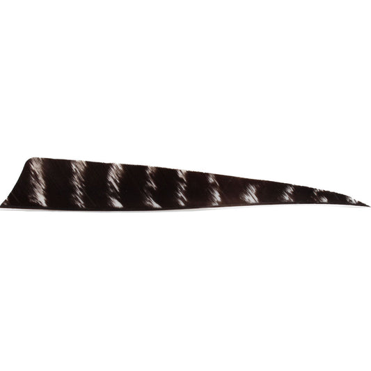 Feather RW Shield 5 inch natural barred