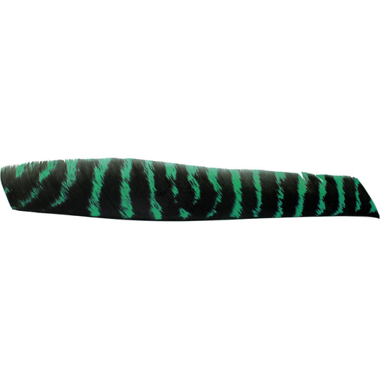 Feather RW Full Length natural barred green