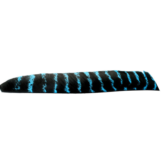 Feather RW Full Length natural barred blue
