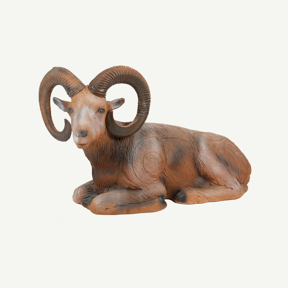 Longlife Lying Mouflon