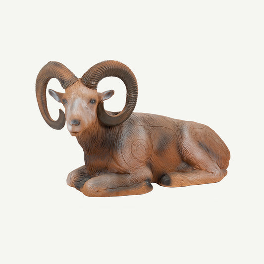 100108 Longlife Lying Mouflon
