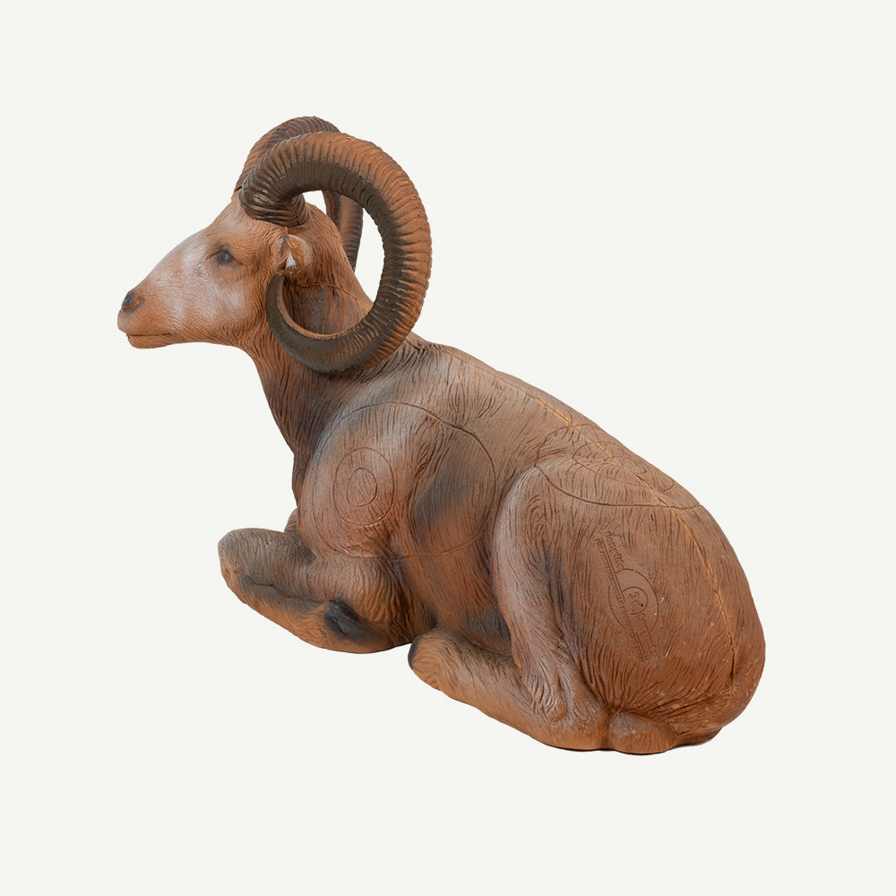 Longlife Lying Mouflon